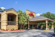 Top Palm Coast