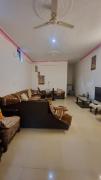 Top Kangra