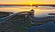 Top Rosolina Mare