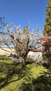 Top Entraigues-sur-Sorgue