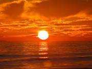 Carnon plage Magnifique studio cabine ensoleillée ,vue sur le port