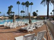 Santafe holiday palm 42