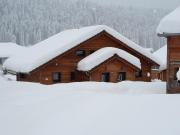 Snow
