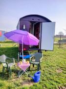 Pipowagen Paarse Opal