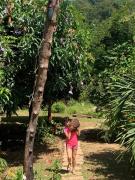 Mirador Jungle El Macuti