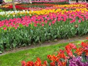 Beachhouse close to sea and dunes