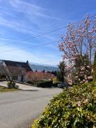 Top West Vancouver