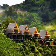 Top Rize