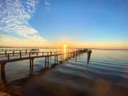 Top Dunedin