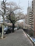 Top Tokyo