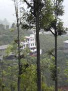 Chirakkal HomeStay