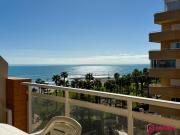 Playa Dorada Vibes 2