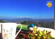 Top Almora