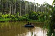 Top Wayanad
