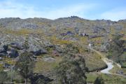 Lage´s House Serra D´Arga Caminha Ponte de Lima