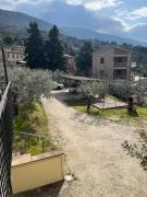 Top Assisi