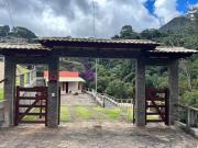 Top Espera Feliz