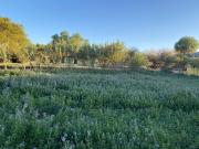 Top San Pedro de Atacama