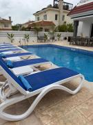 Top Paralimni