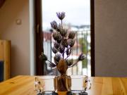 Top Zakopane Top Zakopane