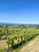 Il borghetto - Casetta rustica con piscina e jacuzzi nel chianti