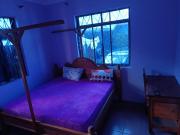 Peaceful and Lovely Home
