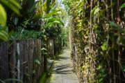 Top Ubud