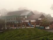 Top Idukki