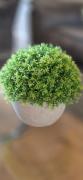 Top Bucharest