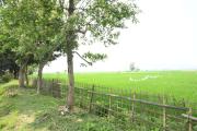 Top Pakariāmukh