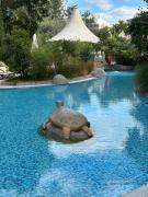 Top Sunny Beach