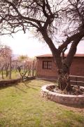 Top Cafayate