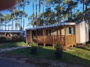 Top Saint-Julien-en-Born