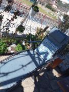 Top Chorto Top Chorto