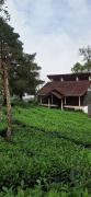 Top Vagamon