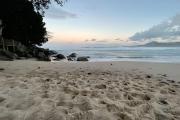 Refúgio Aconchegante a 150m da Praia das Toninhas