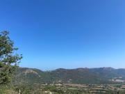 Top Muro