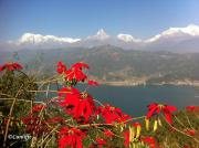 Top Pokhara