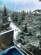 Top Snowshoe Top Snowshoe