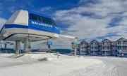 Top Snowshoe