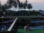 Top Ko Tao