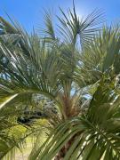 Top Grand-Village-Plage