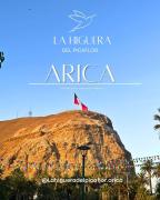 Top Arica