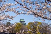 エクセレンス大阪城公園 Osaka Castle Suite - Best for Cherry Blossoms & Park Views - Central Stay