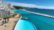 Top Algarrobo