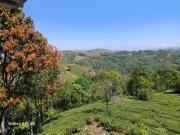 Top Vagamon