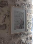 Top Orange Top Orange