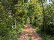 Top Madikeri