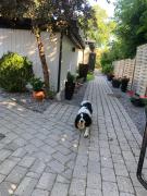 Spacious basement apartment in Hellerup, sleeps 4
