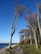 Top Ostseebad Nienhagen Top Ostseebad Nienhagen